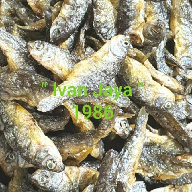 

Promo Ikan Danau Singkarak/Bilih Kecil/Bilis/Tawar Padang 1Kg/1000 Gram
