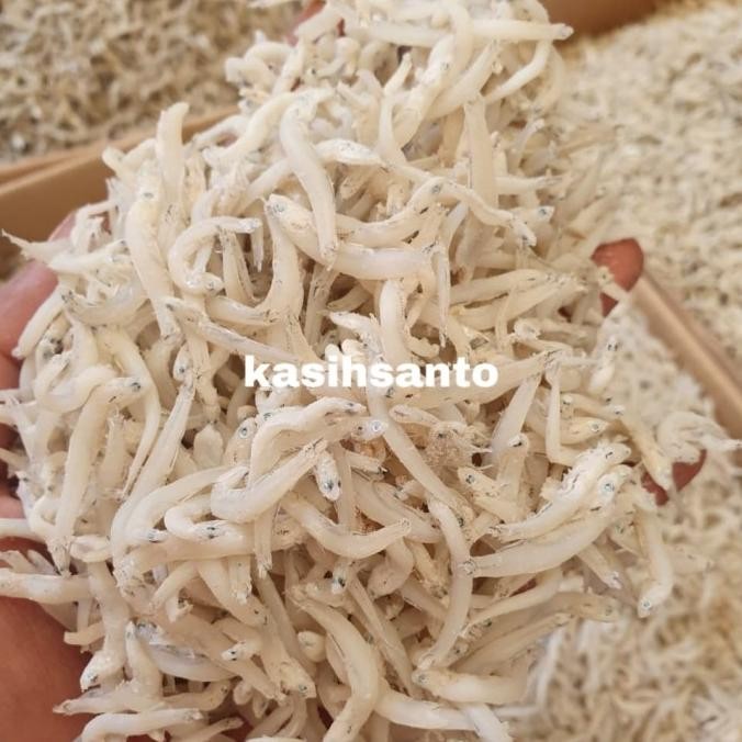 

Promo Ikan Asin Teri Touge-1Kg