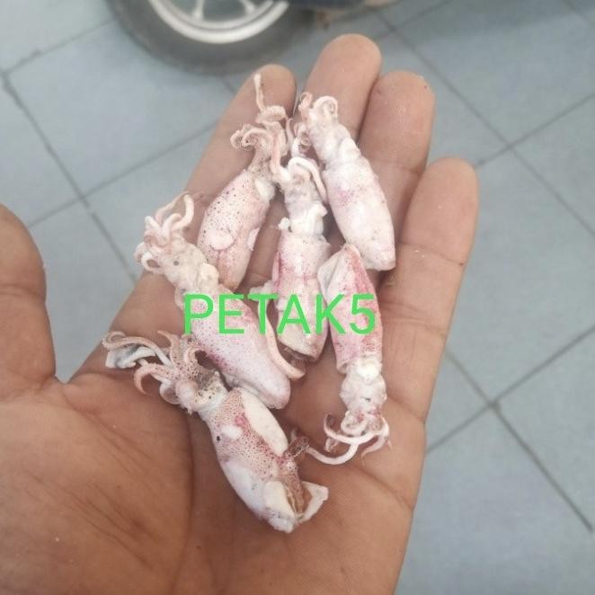 

Promo Ikan Asin Beby Cumi 1Kg/Beby Cumi Asin/Cumi Asin Beby