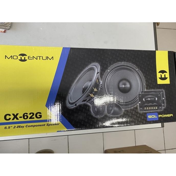 Speaker Momentum CX-62G Split 2 way component