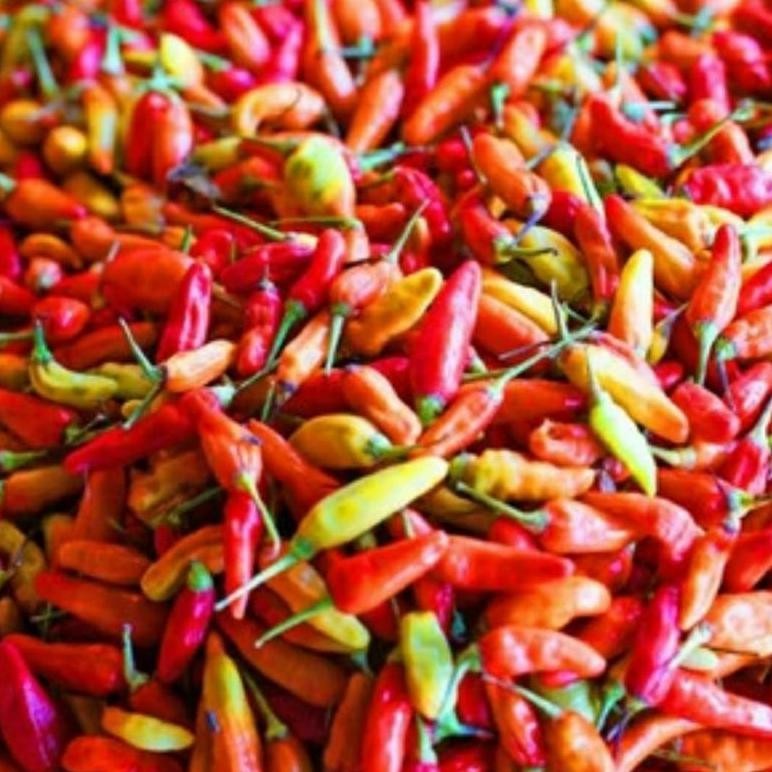 

cabe rawit merah 1kg kebun sendiri