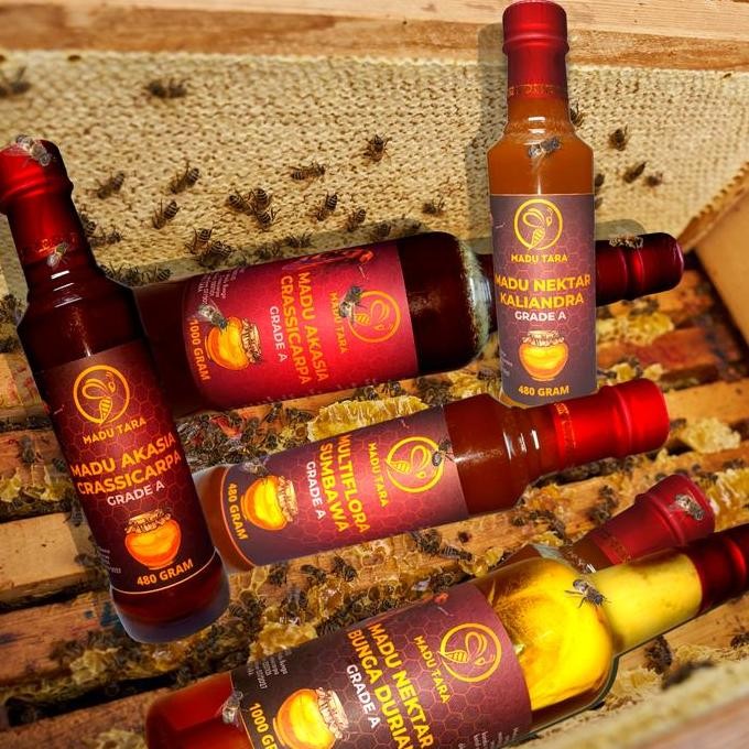 

Madu Hutan Sumbawa Madu Asli Madu Mentah Murni Raw Honey Madu Tara Manis Botol Syrup Coklat Gula Promo