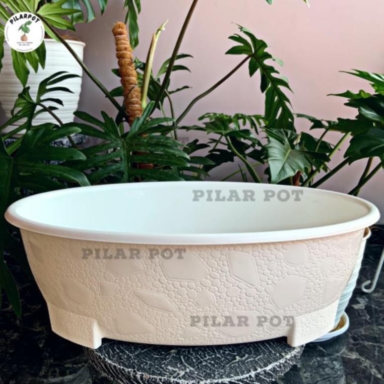 Pot Bunga Tanaman Bonsai Oval 50 Cm Putih Bahan Tebal - BONSAI OVAL 10 PUTIH