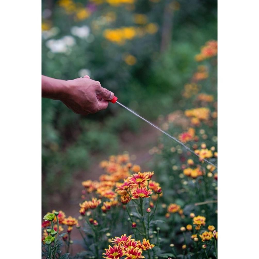 Sprayer Alat Semprot Bertekanan Yoto 5 Liter Semprotan Tanaman - SPRAYER YOTO 5 LITER