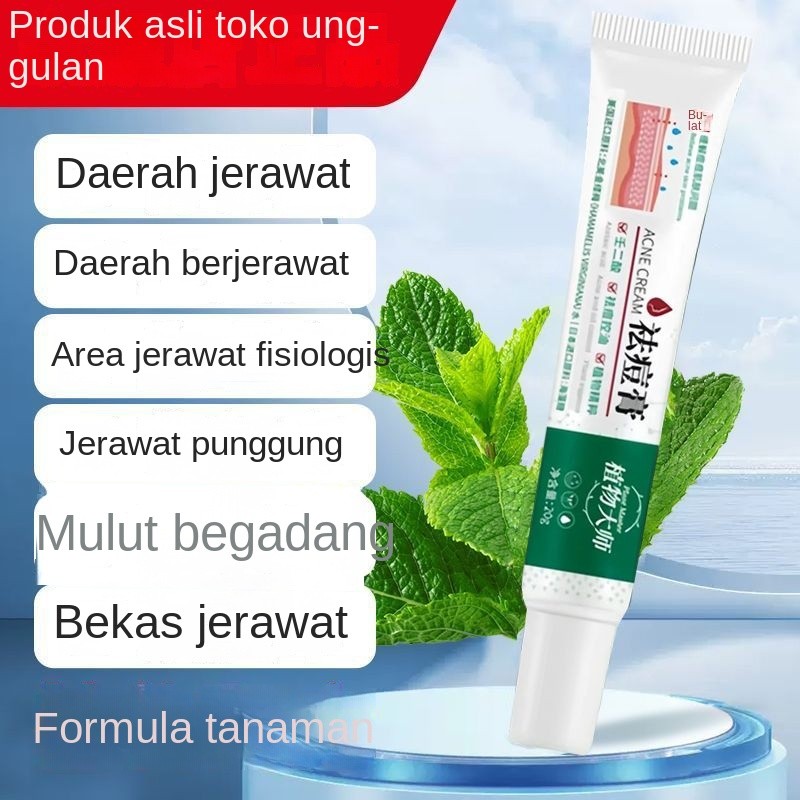 Kualitas Tinggi2.40Krim Perawatan Jerawat Plant Master Asam Azelaic Asam Salisilat Menghilangkan Bek