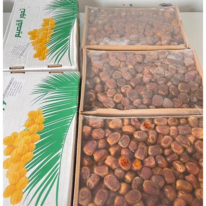 

Promo Kurma Sukari Premium Dus 3Kg Sukkary Sukary Sukkari Ruthob Basah Al Qosim Alqasim Wraping 3 Kg Madinah Rutab