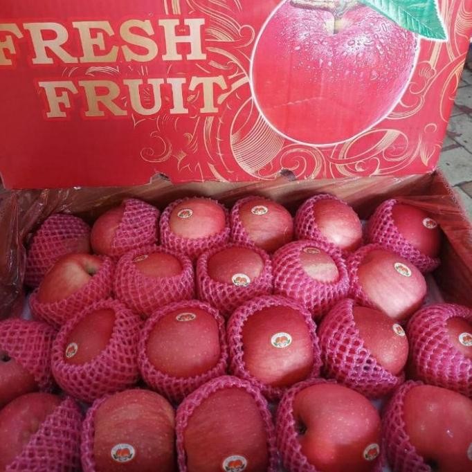 

Sale Buah Apel Fuji Fresh Per Dus Berat 17 Kg