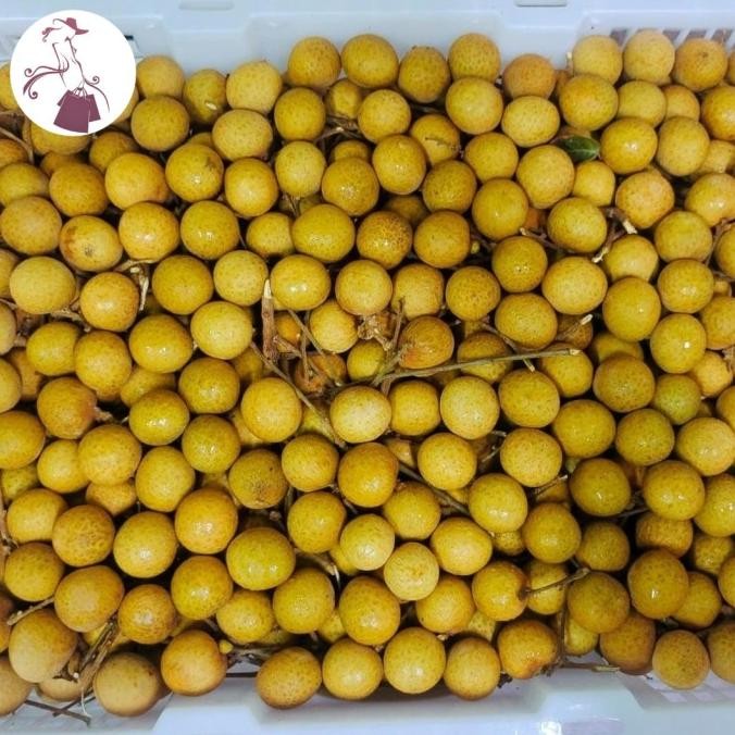 

Murah Lengkeng Merah Keranjang 10Kg