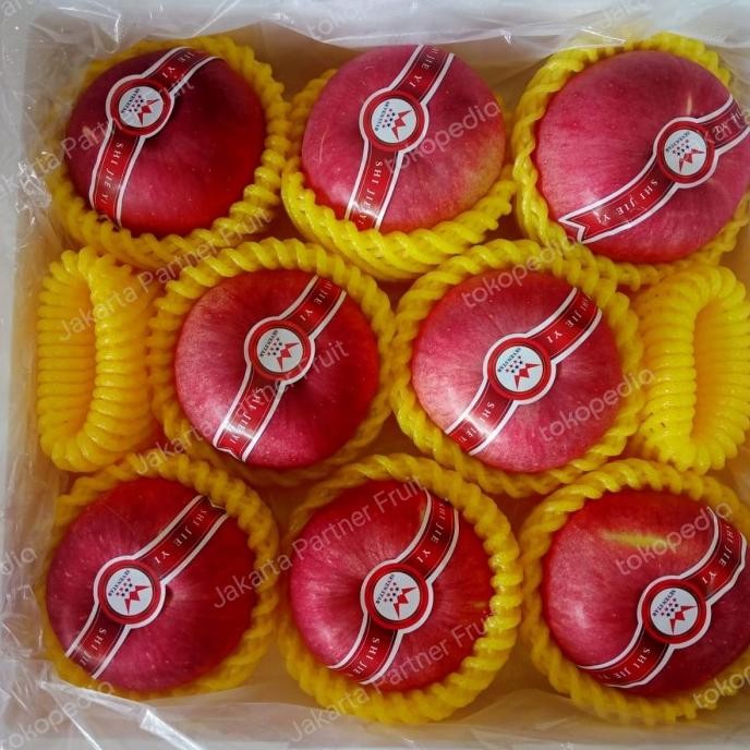 

Grosir Buah Apel Sekaichi | Apel Sekaiichi Shi Jieyi Jumbo / Pcs