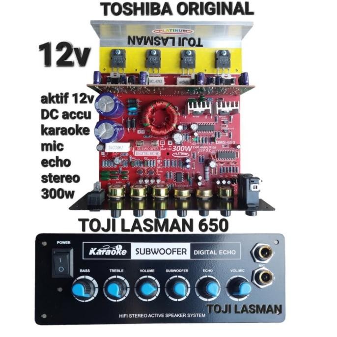 Update 12v DC KIT AKTIF MOBIL CAR KARAOKE MIC ECHO ACCU AKI SUBW 650 SUBWOFER tojil4 Segera Beli