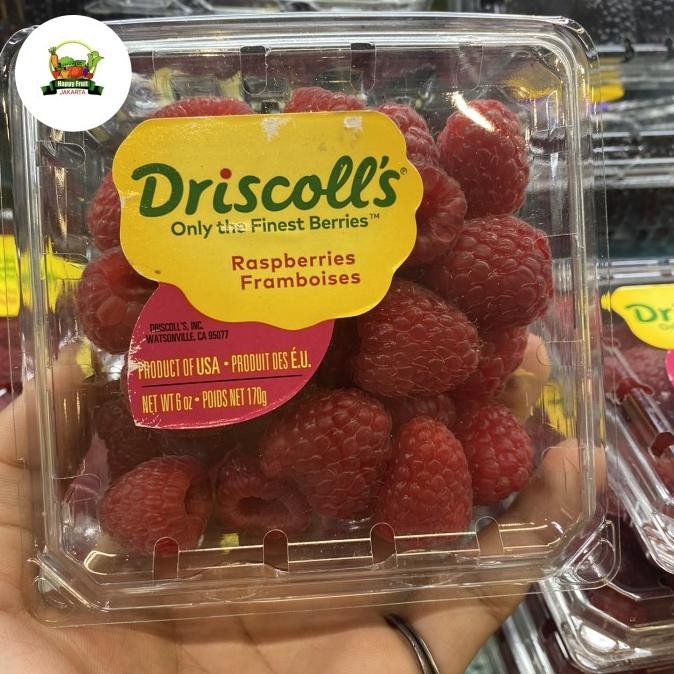 

Grosir Raspberry Driscol Usa | Buah Respberies Import Usa Fresh 170 Grm