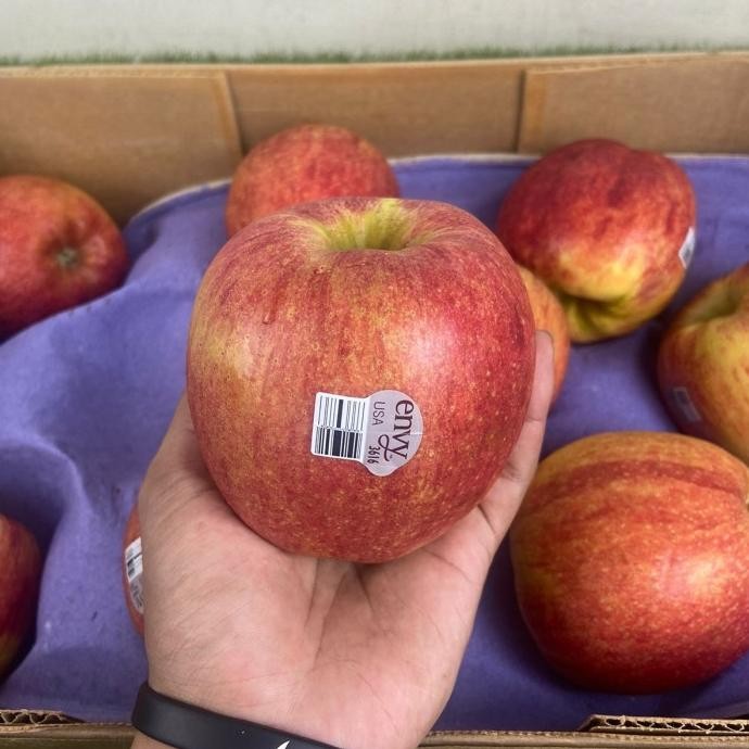 

Sale Apel Envy Usa 1 Kg