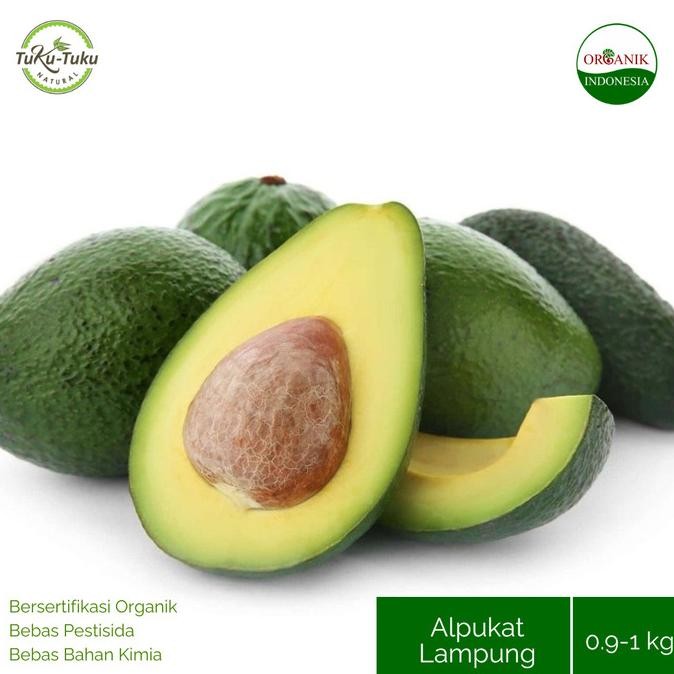 

Sale Buah Alpukat Lampung Qv 900-1000Gr
