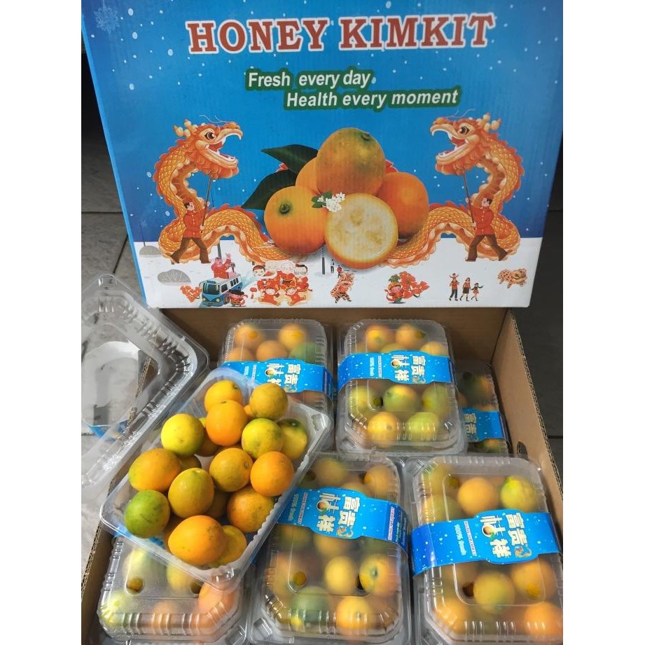 Grosir Jeruk Kimkit Madu 1 Dus (12 Pack) Fresh Import