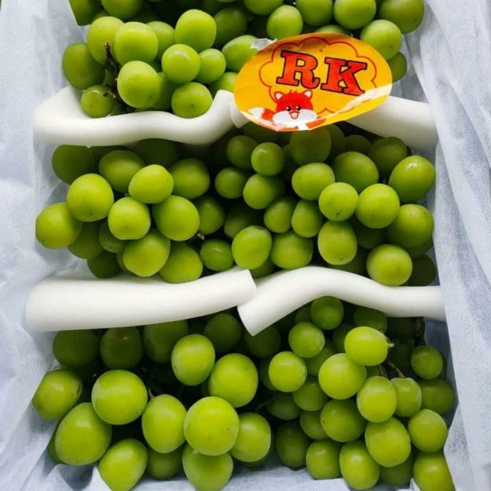 

Murah Anggur Shine Muscat 1Kg