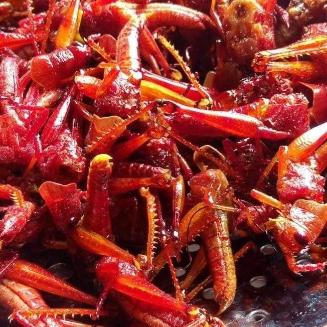 

Belalang Goreng Besar Toples Sosis 210 Gram F67A