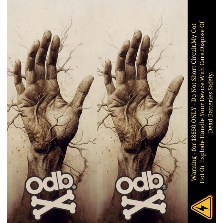 

Buy1Get1 Ambitionstore Stiker Wrap Baterai 18650 Odb Random Art V2 Series Pelindung Dan Penghias Untuk Segala Merek 36 Garskin Stiker Fullbody Premium Bisa Custom Bukan Case