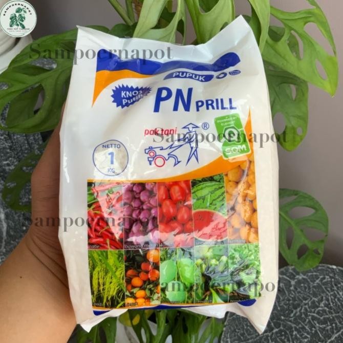 PUPUK KNO3 PUTIH PN PRILL PAK TANI 1 KG - KNO3 PUTIH PN PRILL