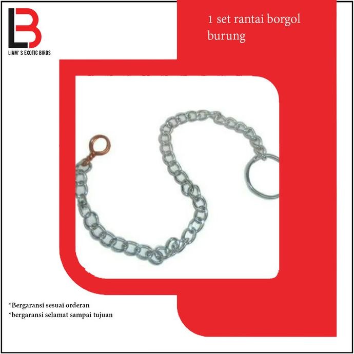 Ready Rantai Burung panjang 20 cm nuri dan burung lainnya stenlist