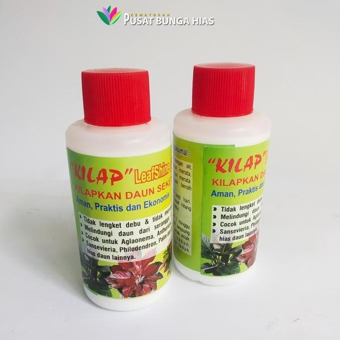 Terlaris Pengkilap Daun Tanaman Hias