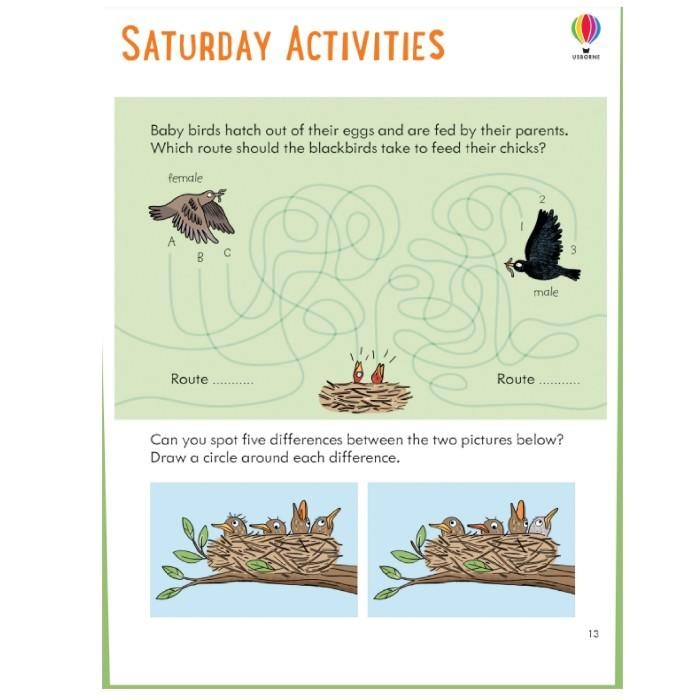 Usborne Little Children'S Nature Activity Book With Stickers