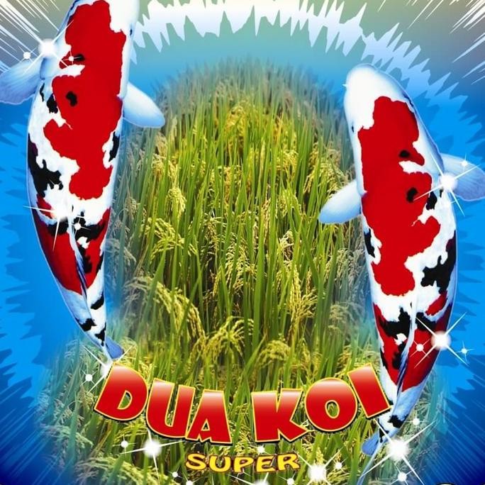 

Ready stock] Beras Premium Dua Koi