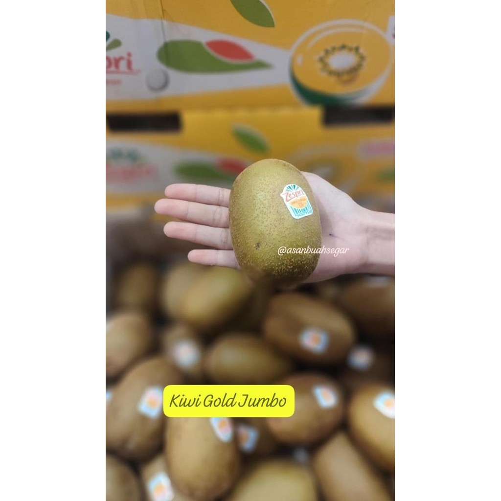 

Buah Kiwi Gold Yellow Zespri Sungold Manis Kuning