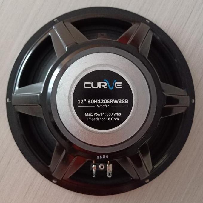 Speaker Curve 12 Inch Woofer