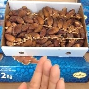 

Kurma Tunisia Tangkai 2Kg Sunfruit