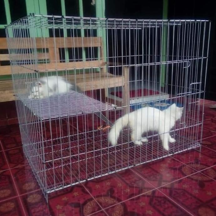 Kandang Kucing Galvanis 1 Tingkat