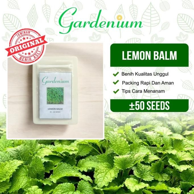 

Terlaris Gardenium Benih Lemon Balm Tanaman Sayuran Herbal