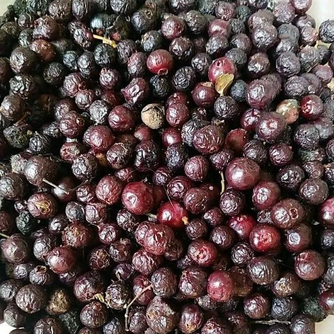 

Terlaris Bibit Benih Daun Salam Untuk Masakan, Bibit Biji Kering Tinggal Semai Isi 30Biji+ Bonus 10 Berlaku Kelipatan