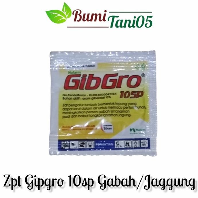 

Terlaris Gipgro 10Sp 1 Gr/Zat Pengatur Tumbuh Jaggung, Padi Dll