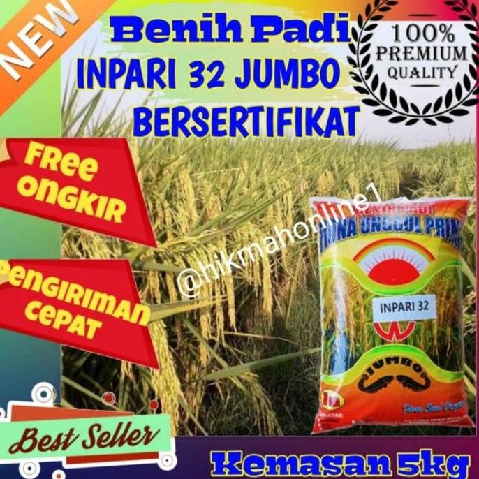 

Terlaris Bibit Benih Padi Inpari 32 Jumbo Bersertifikat Label Ungu Kemasan 5Kg
