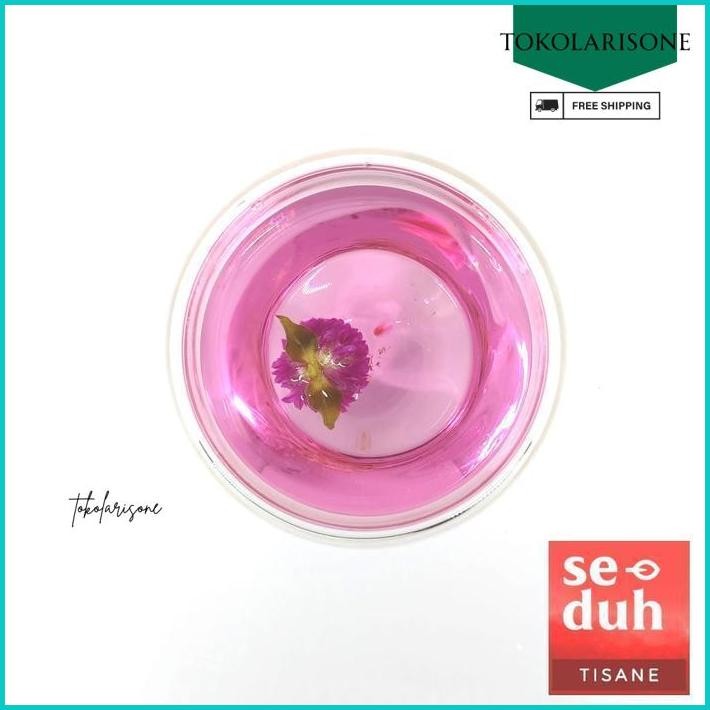 

SEDUH GLOBE AMARANTH TEA / TEH BUNGA GLOBE AMARANT UNGU 10 GRAM