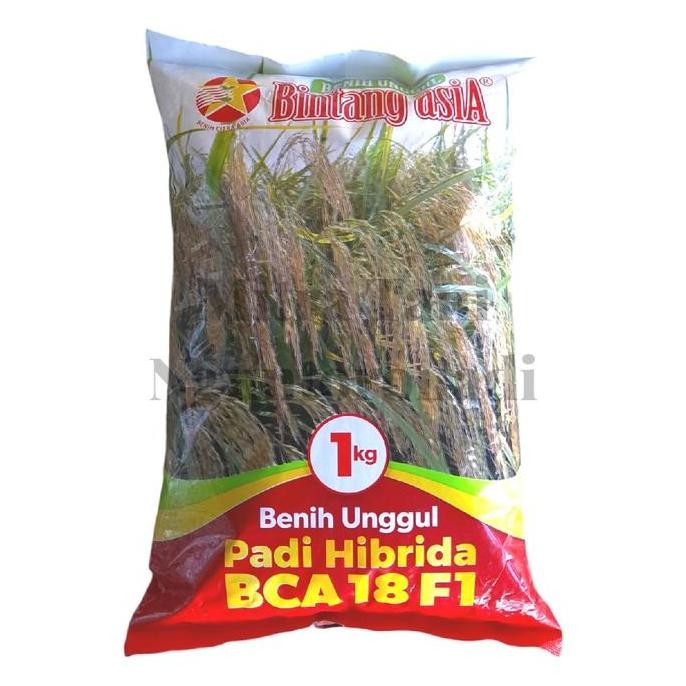 

Terlaris Benih Padi Hibrida Bca 18 F1 Cap Bintang Asia 1Kg