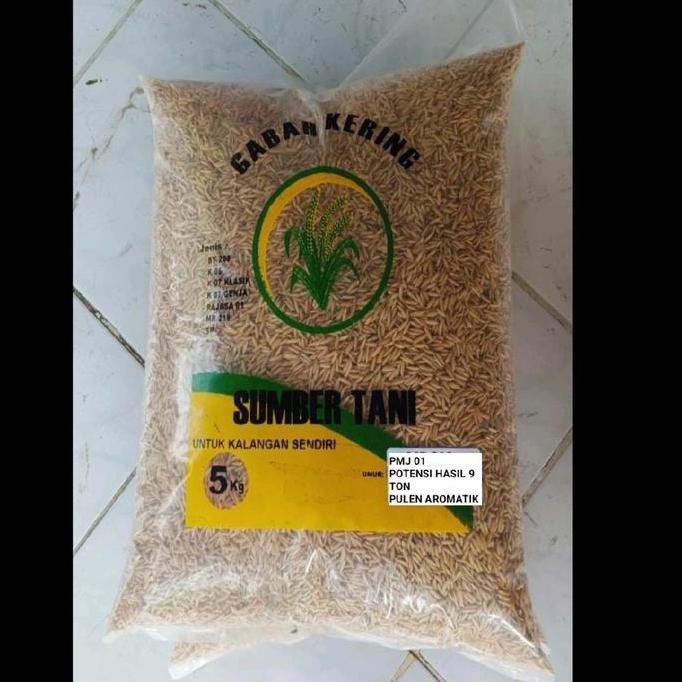 

Terlaris Padi Berkualitas Pmj 01 Kemasan 5 Kg