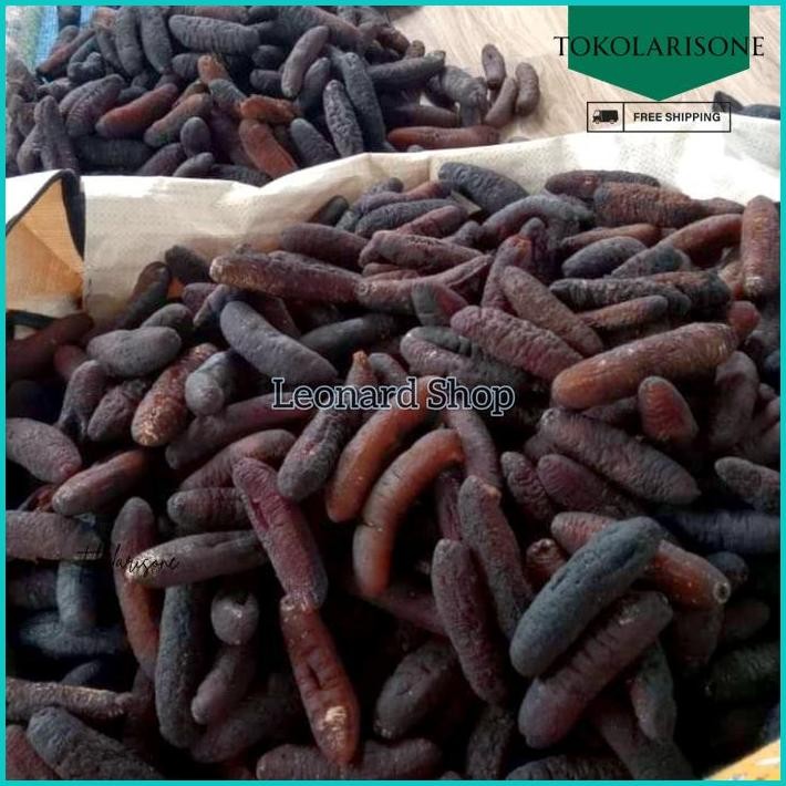 

HAISOM SUPER ISI 7-8 ASLI BANGKA BELITUNG TERIPANG HOISOM GOSOK KERING