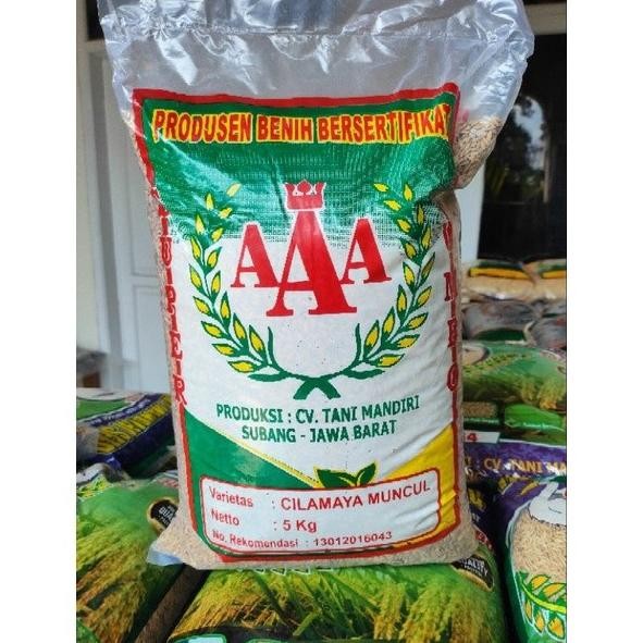 

Terlaris Benih Padi Unggul Berkualitas Cilamaya Muncul Anakan Banyak 5 Kg