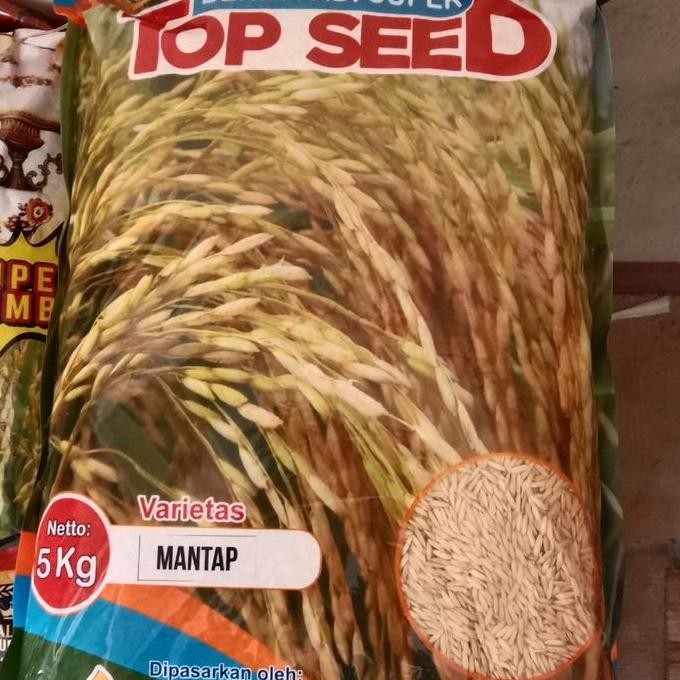 

Terlaris Benih Padi Mantap