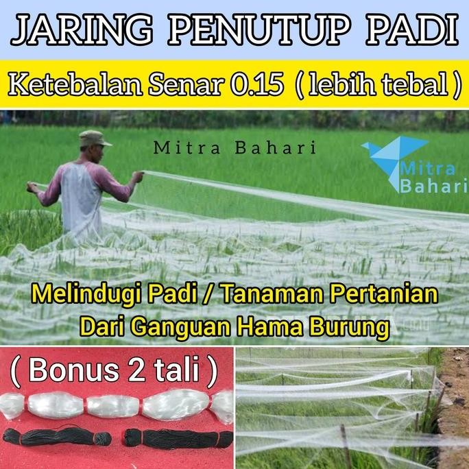 

Terlaris Jaring Padi Senar 0.15 (Tebal) Jaring Burung Pipit | Jaring Sawah Cod