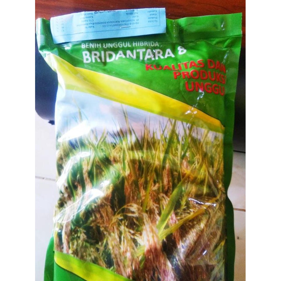 

Terlaris Benih Padi Hibrida Bridantara 8