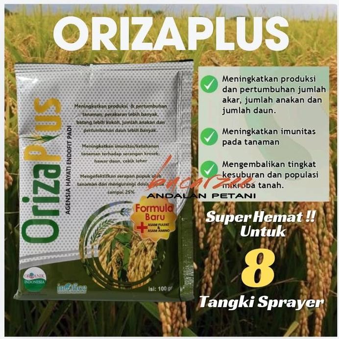 

Terlaris Orizaplus Pupuk Hayati Tanaman Padi Organik 100 Gram