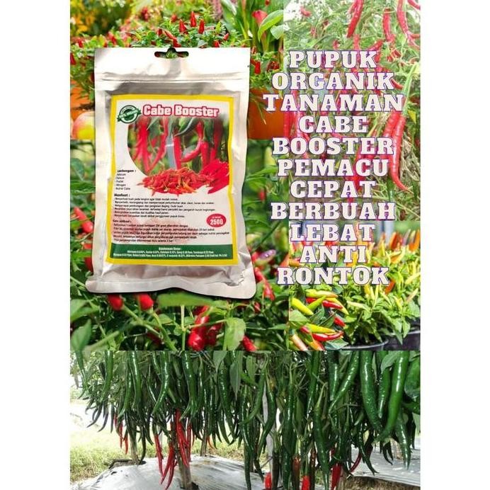 

Terlaris Booster Cabai Pupuk Pemacu Buah Melebatkan Dan Mempercepat Pertumbuhan Bunga Tanaman Organik Cabe