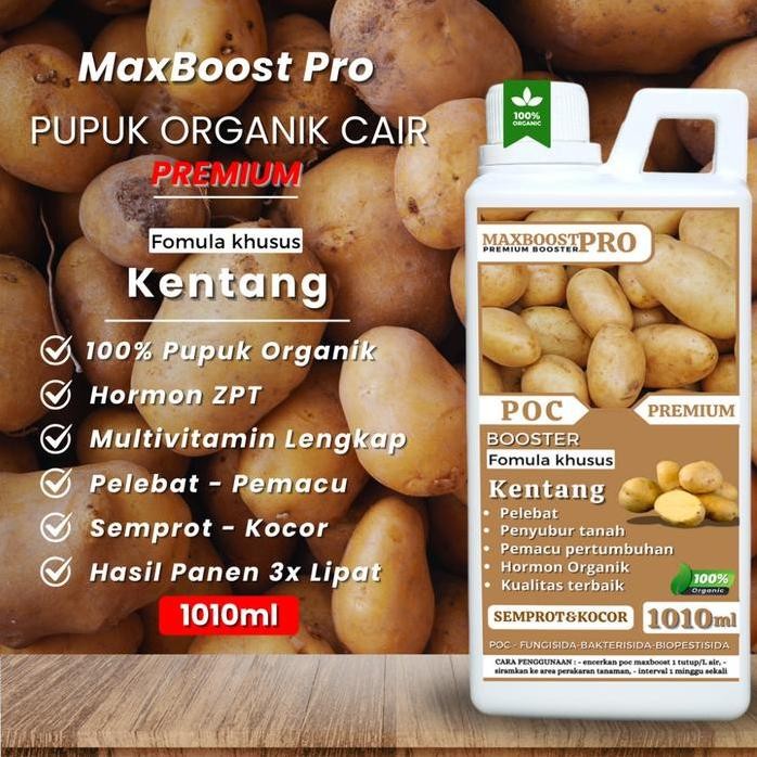 

Terlaris Terlaris Pupuk Organik Cair Tanaman Kentang, Booster Cair Kentang, Poc Kompos Kentang Melebatkan Di Luar Musim Bunga Buah Sayuran Maksimal Isi 1010Ml