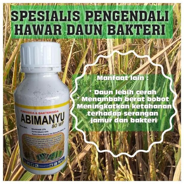 

Terlaris Fungisida Bakterisida Abimanyu Obat Padi Merah (Kresek)/Bahan Cbia