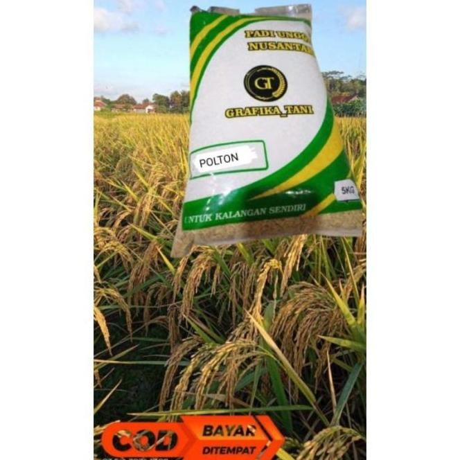 

Terlaris Benih Padi Prremium Polton 5 Kg Premium Quality