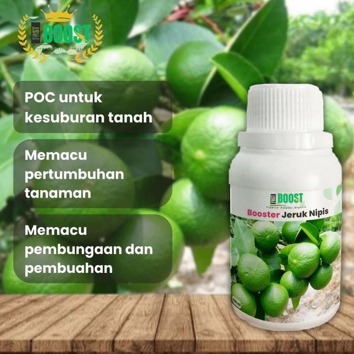 

Terlaris Poc Booster Jeruk Nipis 100Ml Pelebat Organik Cepat Berbuah Lebat Anti Rontok Pupuk Tanaman Alami