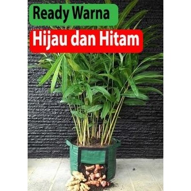 

Terlaris Polybag Pot Bibit Tanaman Rimpang : Jahe , Kunyit Rhizoma Planter Bag
