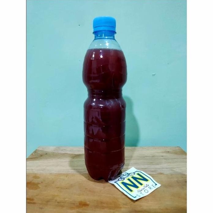 

Terlaris Bakteri Fotosintesis Psb 600Ml Pupuk Organik Cair Nn Store